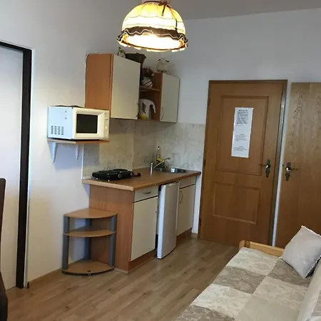 Guest house Roklan Zelezna Ruda